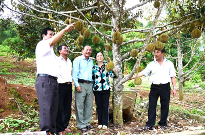 Sáng mãi phẩm chất Bộ đội Cụ Hồ