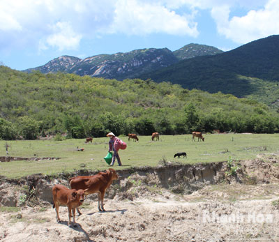 Dự án Vùng sản xuất và kiểm định tôm sú giống: Đầu tư... từ đâu?