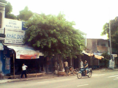 Phần nhà, đất của gia đình ông Cuộc hiện đang sử dụng.