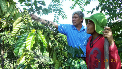 Xã Thành Sơn: Quyết tâm vượt khó