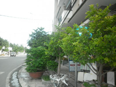 Biển tên đường bị che khuất