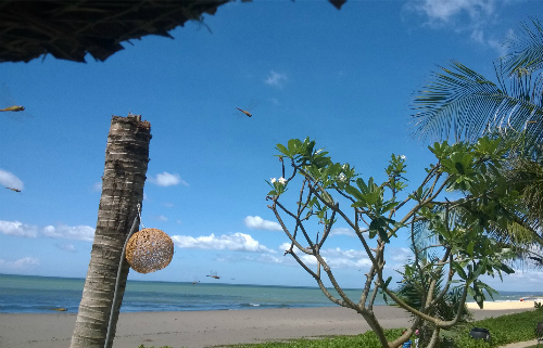 Biển xanh có thể giúp dịu bớt căng thẳng. Ảnh: Lê Phương.