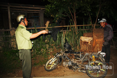 Trắng đêm bắt gỗ lậu