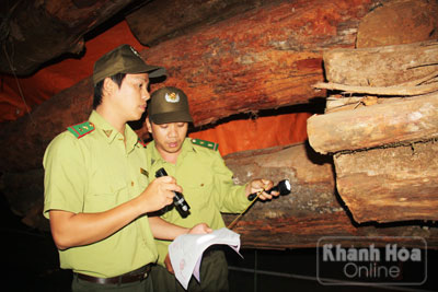 Lực lượng Kiểm lâm cơ động tỉnh kiểm tra lâm sản vận chuyển trên tuyến đường Cầu Lùng - Khánh Lê.