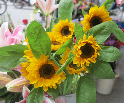 Những loài hoa ý nghĩa dành tặng thầy, cô