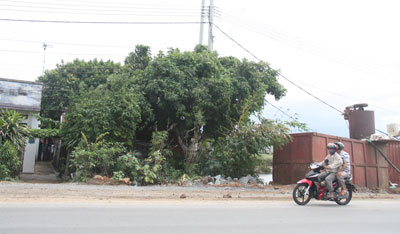 Phần đất bị ảnh hưởng bởi Dự án mở rộng Quốc lộ 1A.