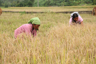 Trăn trở cải thiện đời sống người dân