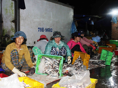 Người dân chế biến cá ngay trên đường Trần Hưng Đạo.