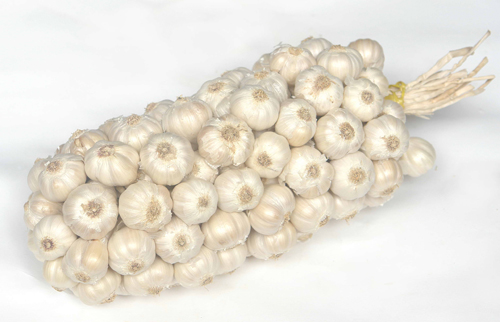 Lợi ích tuyệt vời từ tỏi