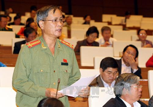 Đại biểu Quốc hội phát biểu tại Hội trường chiều 20/11. Ảnh: TTXVN