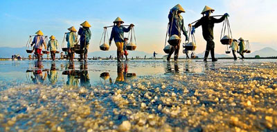 Phạm Thị Hoài: Cuộc rong chơi bắt đầu