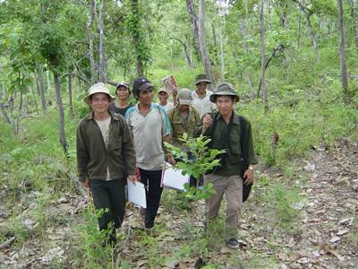 Thu phí dịch vụ môi trường rừng giúp tạo nguồn tài chính bền vững trong việc bảo tồn và phát triển rừng (Ảnh minh họa)