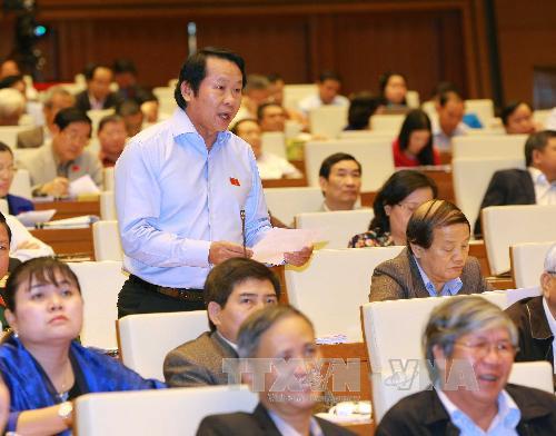 Đại biểu Thân Đức Nam (Đà Nẵng) phát biểu ý kiến Ảnh: TTXVN