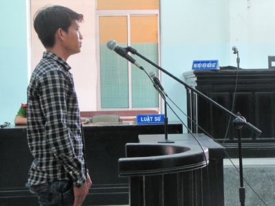 Vào tù vì đốt lá mía làm cháy lan sang rừng trồng