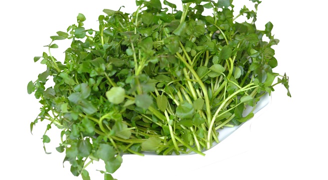 Cải xoong và công dụng chữa bệnh kỳ diệu