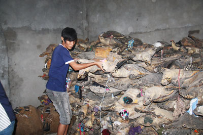 Còn nhiều vấn đề cần làm rõ