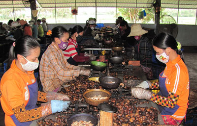 Nhiều doanh nghiệp né tránh trách nhiệm