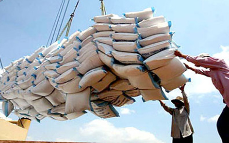  Khối lượng gạo xuất khẩu 11 tháng ước đạt 6,03 triệu tấn 