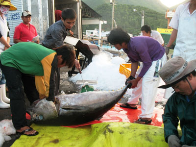 "Mái nhà chung" của ngư dân