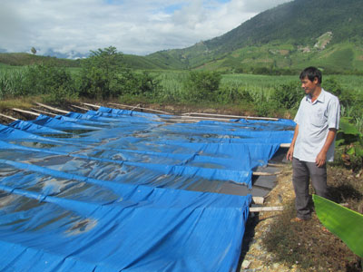 Ao nước thải sau xử lý ctại trang trại chăn nuôi của ông Huỳnh Đắc Trung.