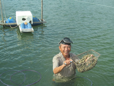 Nuôi giấc mơ… tỷ phú