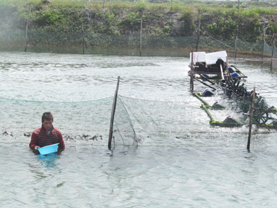 Hàng ngày, công nhân phải xuống đìa để làm vệ sinh. 