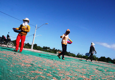 Ngư dân phơi ruốc để bán khô.