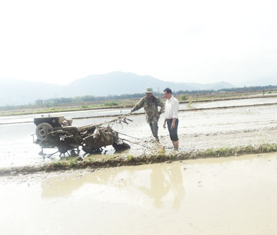 Ông Thanh (bên phải) hướng dẫn kỹ thuật sản xuất cho nông dân.