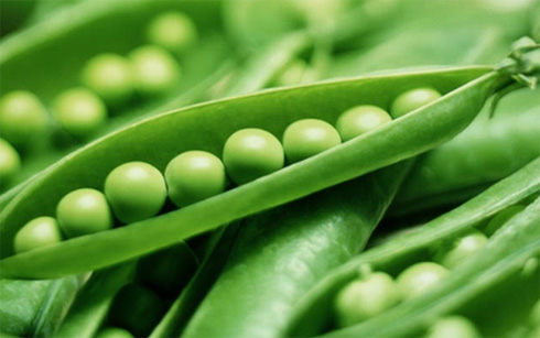 Các chất dinh dưỡng cần thiết cho người ăn chay