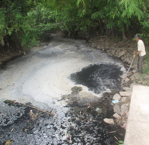Lò bún, bánh phở gây ô nhiễm môi trường