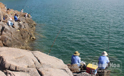 Vui thú câu ghềnh...