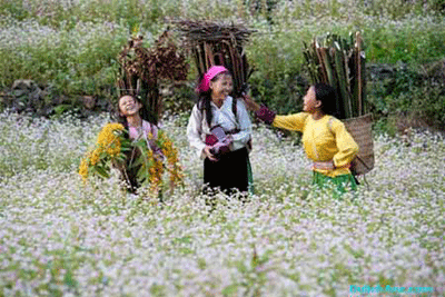 Việt Nam lọt Top 20 quốc gia hấp dẫn nhất thế giới năm 2014