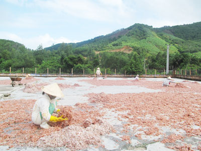 Sẽ đình chỉ hoạt động nếu không khắc phục