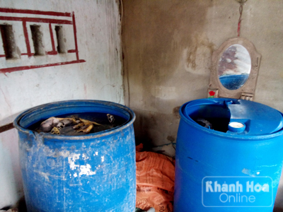 Cạnh đó, nhiều xác rùa được ngâm hóa chất trong 2 thùng phuy nhựa.