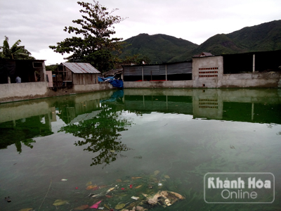 Khu vực được phát hiện cất giấu rùa biển.