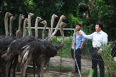 Khơi nguồn sáng tạo