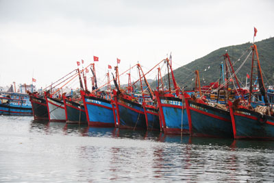 Khai thác khơi xa gặp khó
