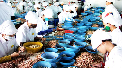 Xuất khẩu nông, lâm, thủy sản cán mốc 30 tỷ USD