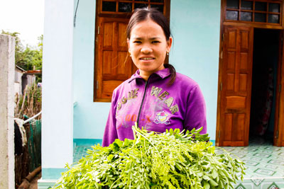 Rau chùm ngây là món ăn ưa thích được người dân hái ở ven chân núi