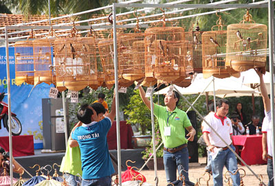 Thú chơi chim chào mào