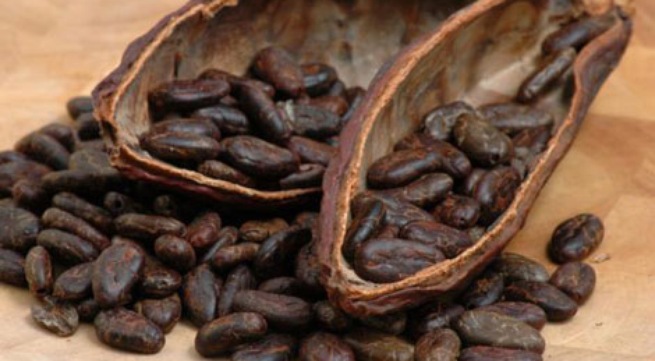 Cacao giúp cải thiện chứng suy giảm trí nhớ