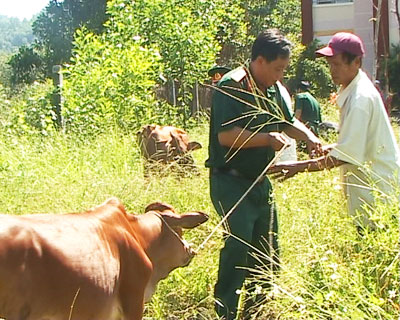 Khánh Vĩnh: Cần nâng cao chất lượng giảm nghèo