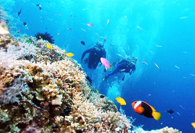 Chủ trương lặn thân thiện với môi trường được khuyến khích. (Ảnh minh họa)