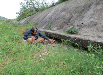 Chưa hoàn thành đã phải khắc phục sự cố