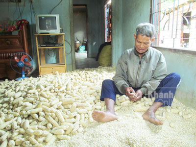 Ông Mang Đức và nhiều người dân Cam Thịnh Tây luôn quay quắt tìm đất mới.