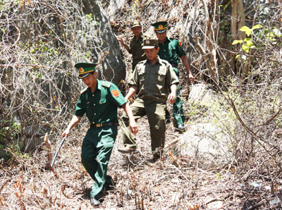 Trấn áp các loại tội phạm trên tuyến biên giới biển