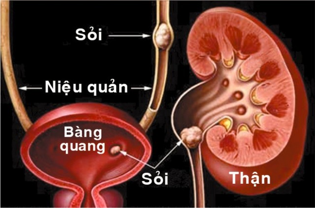 Thừa vitamin cũng... nguy