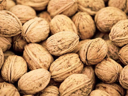 Chất béo và sức khỏe