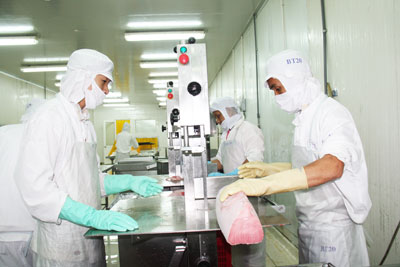 Chế biến cá ngừ đại dương xuất khẩu tại Công ty TNHH Hải sản Bền Vững  (Khu công nghiệp Suối Dầu).