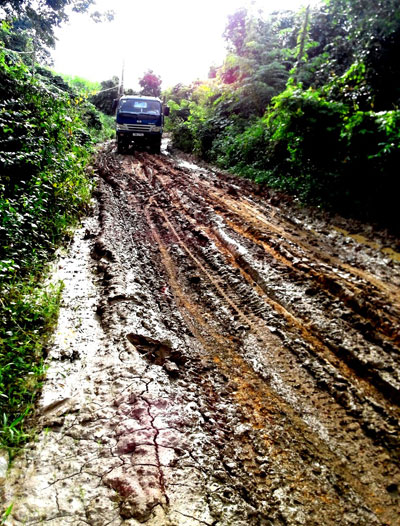 Nhiều tuyến giao thông nội đồng xuống cấp